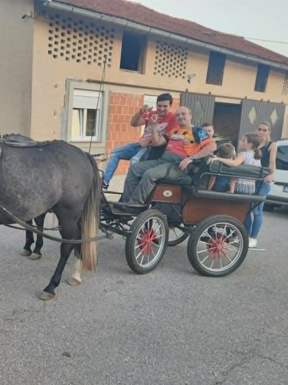Konjska zaprega ispred vinarije